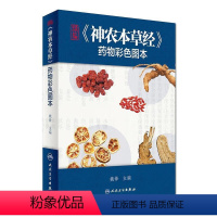 [正版]精编神农本草经药物彩色图本 自学中医入门医学类原版图解图鉴本草纲目伤寒论黄帝内经杂病原著中药材中药书中草药书籍