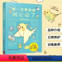 [正版]第一次养鹦鹉就恋爱了鹦鹉饲养图鉴 从品种介绍、日常养护、玩耍训练到健康照料,超萌图解鹦鹉饲养百科