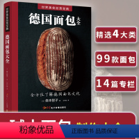 [正版]德国面包大全 一本书让您读懂德国面包的过去、现在和未来 100款传统配方及制作方法 碱水面包 面包书烘焙书制作