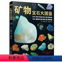 [正版]矿物宝石大图鉴 200种矿物宝石鉴赏图典 百科全书中国少年儿童百科全书大百科少儿3-6-10岁图书漫画书科学课