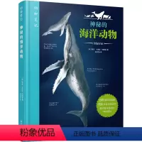 [正版]动物笔记:神秘的海洋动物 245幅高清插画600余条记录 图鉴百科全书