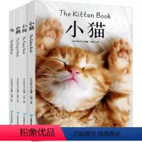 [正版]4册图鉴-轻松解压阅读小猫+小狗+企鹅+鸟 高清美图 养狗养猫指南养猫手册宠物书籍