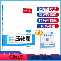 数学 九年级 [正版]2024初中七八九年级数学压轴题数学789中考数学有理数方程初一数学必刷题初中数学专题训练解题方法