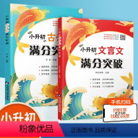 小升初文言文+古诗词 [正版]小升初满分突破古诗词+文言文2本套装统编版语文古诗词专项训练大全集阅读训练全解翻译四五六年