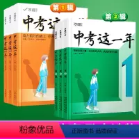 [陪伴篇+奋斗篇+成长篇]全3本 初中通用 [正版]2024这一年中学生必读青春励志书籍学习方法青少年成长故事好书初中课