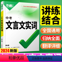 24版❤️[文言文实词+文言文解读]2本 初中通用 [正版]初中文言文实词虚词专项训练阅读理解全解七八九年级初一初二初三