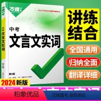 24版❤️[文言文实词+文言文解读]2本 初中通用 [正版]初中文言文实词虚词专项训练阅读理解全解七八九年级初一初二初三