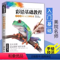 [正版]经典全集彩色铅笔画零基础入门教程材自学手绘本插画动漫临摹初学者儿童成人物书籍古风景动物多肉植物花卉美食篇画册杨