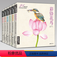 [正版]6本套装彩铅多肉+彩铅花卉+彩铅动物+彩铅风景+彩铅花鸟+彩铅人物经典全集彩铅画零基础入门教程杨建飞主编