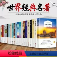 [平装20册]世界二十大名著 [正版]全20册 世界二十大名著巴黎圣母院老人与海爱的教育钢铁是怎样炼成的青春文学经典影响