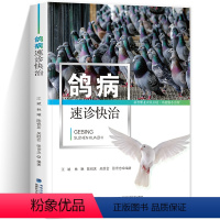 [正版]鸽病速诊快治 鸽子养殖书籍养鸽新技术鸽病防治图谱常见病诊断新编肉鸽赛鸽疾病诊疗全书书籍散养圈养快速出栏方法技巧