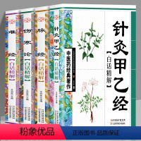 [正版]中医药经典系列全套4册 伤寒论针灸甲乙经脉经难经白话精解中医名家医学中医针灸诊脉自学入门书籍临床应用理论与实践