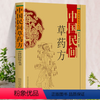 [正版]中国民间草药方 常见内科病症草药方 中国民间治病手法 常见外科儿科五官科病症草药方 小方治大病 3000首草药