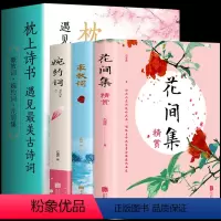 [正版]全3册 花间集精赏+豪放词+婉约词 枕上诗书全套遇见美古诗词大全集飞花令 中小学生青少年中国古诗词大会诗词格律