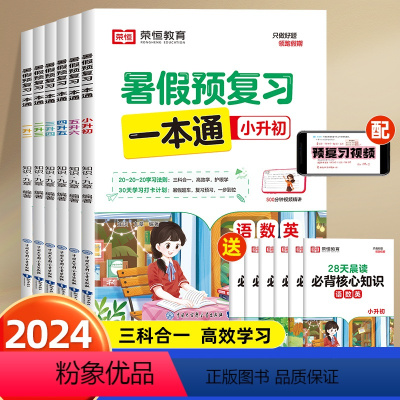 [多科目合一]暑假预复习一本通 四升五 [正版]2024新暑假衔接 暑假预复习一本通人教新版暑假学练测全科一本通专项训练