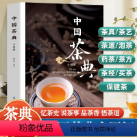 [正版]中国茶典 从喝茶到懂茶 茶具 茶艺 茶道 保健茶 药茶 茶方 茶经 买茶 泡茶中国茶文化茶配方泡饮大全入门普洱