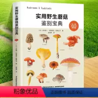 [正版]实用蘑菇鉴别宝典 大作晃一吹春俊光蘑菇使用图鉴书籍食用蘑菇菌菇松茸菌类菌毒蘑菇识别方法采书蘑菇百科大全书