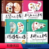[正版]4册养肝养肾脾胃脾胃就是养命 护肝书籍 保健养生书肝病书籍大全 食疗食谱养生中医养生家庭保健护肝保健调理营养食