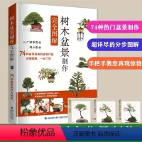 [正版]树木盆景制作完全图解 盆景制作与养护书籍树木盆景树桩盆景多肉植物草本植物盆景造型设计盆景创作手法树木修剪蟠扎提