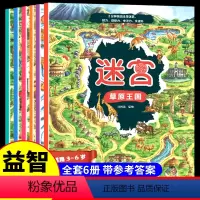 [正版]全6册迷宫儿童益智专注力训练书 3-4-5-6岁记忆力注意力思维逻辑训练书籍走迷宫找不同左右脑智力大开发视觉大