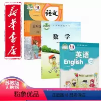 [正版]2024苏教版四年级下册语文数学英语全套3本 译林版四年级下册语数英 小学四4年级下册语数英苏教数学译林英语人