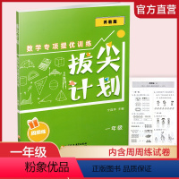 一年级 小学通用 [正版]拔尖计划数学专项提优训练123456年级 小学数学教辅补充提高习题含电子答案 周周练测试卷
