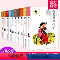 黄蓓佳经典长篇小说合集(全10册) [正版]课外书黄蓓佳倾情小说系列 6-7-9-10-12岁三四五六年级课外阅读书籍儿