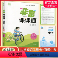 数学非常课课通 苏科版 八年级上 [正版] 2023年秋 非常课课通数学8上 八年级上册苏科版 含知识工具卡+直通中考