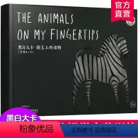 [正版]黑白大卡 指尖上的动物 字母A—Z 初生婴幼儿童视觉启蒙认知训练 数字学习0-1-2-3岁宝宝 动物卡片儿童读
