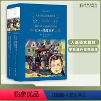单本全册 [正版]经典译林大卫科波菲尔(精装上下册套装)狄更斯代表作 中学生课外寒暑假阅读书籍文学名著 译林出版社
