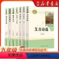 九上课外必读书全套[6本] [正版]七八九年级上下册选读名著人教版课外阅读书籍 朝花夕拾海底两万里骆驼祥子红星照耀中国钢