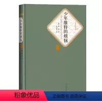 少年维特的烦恼(精)/名名译丛书 [正版]少年维特的烦恼(精)[德] 歌德 杨武能名著名译丛书名著世界十大文豪少年维特之