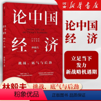 [正版]论中国经济 挑战底气与后劲 林毅夫 林毅夫解读中国经济 分析“十四五”与“双循环”出版社经济理论