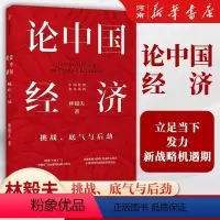 [正版]论中国经济 挑战底气与后劲 林毅夫 林毅夫解读中国经济 分析“十四五”与“双循环”出版社经济理论