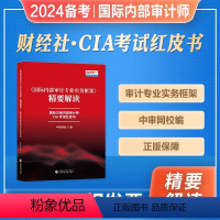 [正版]2024备考国际内部审计专业实务框架精要解读国际注册内部审计师CIA考试红皮书2023中国财政经济出版社CIA