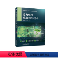 [正版]动力电池梯次利用技术 胡敏艺 蒋光辉 废旧动力蓄电池回收 动力蓄电池拆解 单体蓄电池筛选 动力蓄电池重组 机工