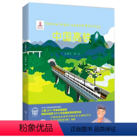 中国高铁 [正版]「科普百科/中国原创」中国高铁 高铁动车的故事 中国火车知识绘本故事书籍3-6-9周岁儿童精装科普百科