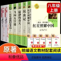 [赠考点]八年级上册名著 人教版 [正版]寂静的春天飞向太空港星星离我们有多远人民教育出版社长征文学八年级上册必读名著全
