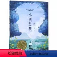 [正版]小河男孩 大奖小说故事书小学生课外阅读书籍三年级四五六年级必新蕾出版社老师班主任 7-8-10-12-15岁畅