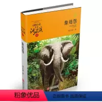 [正版]学校书目象母怨动物小说大王沈石溪品藏书系儿童文学书籍少儿课外必物书9-10-11-12岁三四五六年级基础阅