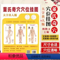 [正版] 董氏奇穴穴位挂图 大字真人版 中医挂图艾灸穴位图人体经络大全 穴位原理解构治疗析书 灸经络穴位图谱 穴位书籍