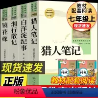 [人教版4册]猎人笔记+镜花缘+湘行散记+白洋淀纪事 [正版]七年级上册阅读课外书 猎人笔记白洋淀纪事镜花缘湘行散记人教