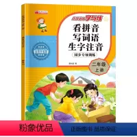 语文 二年级上 [正版]小学语文学与练二年级上册 看拼音写词语生字注音课外阅读理解强化训练书看拼音写词语字词句子拼音手册