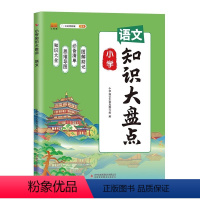 小学知识大盘点[语文] 小学通用 [正版]汉知简2024小学知识大盘点语文数学英语一二三四五六年级上下册通用重点基础知识