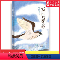 [正版]七日的青鸟林秀穗廖健宏著文学读物儿童课外读物儿童文学小学生三四五六年级语文课外阅读 书店书籍