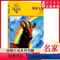 斑羚飞渡 [正版]书店 斑羚飞渡 升级版动物小说大王沈石溪·品藏书系 中/小学生阅读少儿读物 儿童文学