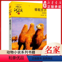 骆驼王子 [正版]书店 骆驼王子 升级版动物小说大王沈石溪·品藏书系 中/小学生阅读少儿读物 儿童文学