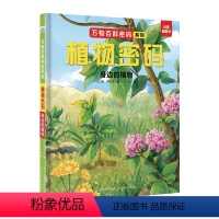 植物密码:身边的植物 [正版]万物百科密码系列植物密码身边的植物野外的植物 昆虫密码奇妙的昆虫建筑师和伪装者少儿自然科普