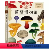 奇迹博物馆 菌菇博物馆 [正版] 菌菇博物馆 奇迹博物馆系列 0-6岁幼儿早教益智启蒙开发亲子共读认识菌菇知识精美插图