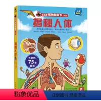 乐乐趣揭秘翻翻书系列第二辑 揭秘人体 [正版]立体书3d儿童节日礼物揭秘人体翻翻书3-6-7-8-10岁以上小学生书籍我